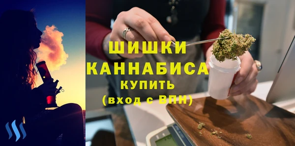 винт Костерёво