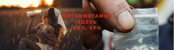 сатива Коряжма
