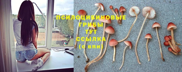 каннабис Козловка