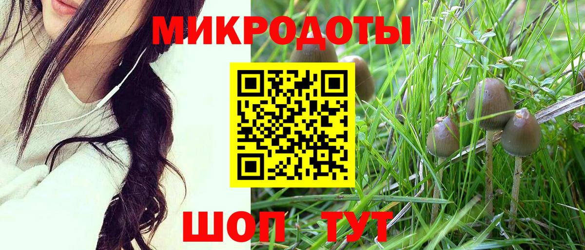 Псилоцибиновые грибы Cubensis Барнаул