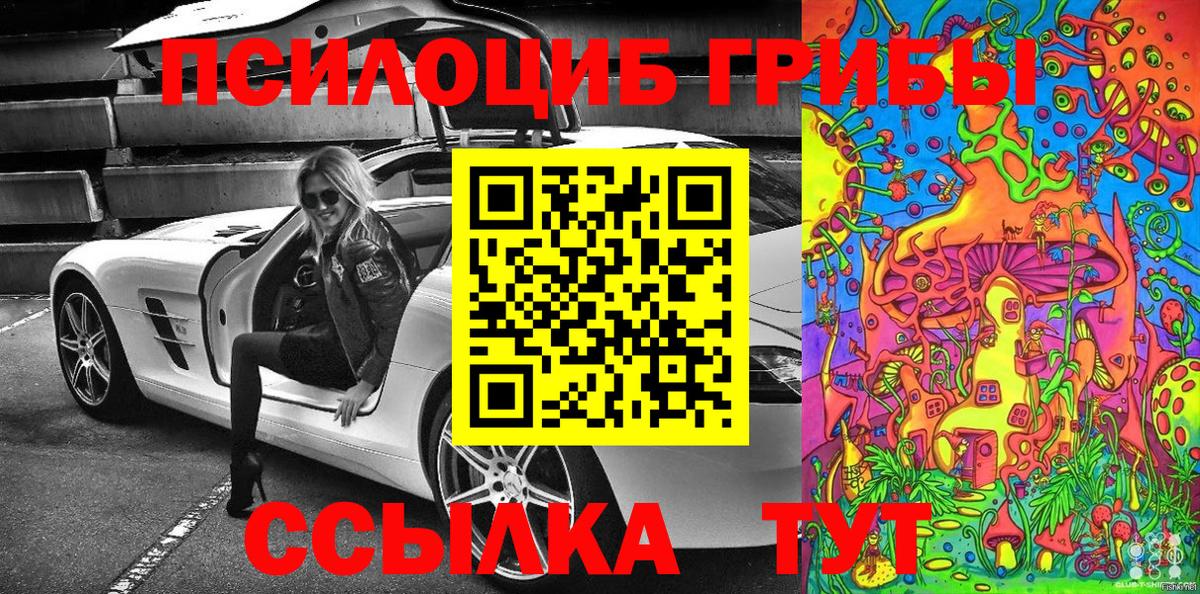 Псилоцибиновые грибы Psilocybe  Псилоцибиновые грибы Psilocybe  Барнаул 