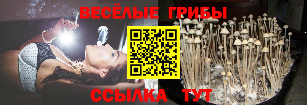 Псилоцибиновые грибы Magic Shrooms  Вход с VPN  где продают наркотики  Барнаул 