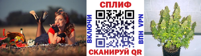 блэк спрут сайт  Барнаул  Каннабис LSD WEED 